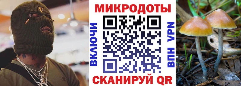 blacksprut сайт Терек Псилоцибиновые грибы мухоморы